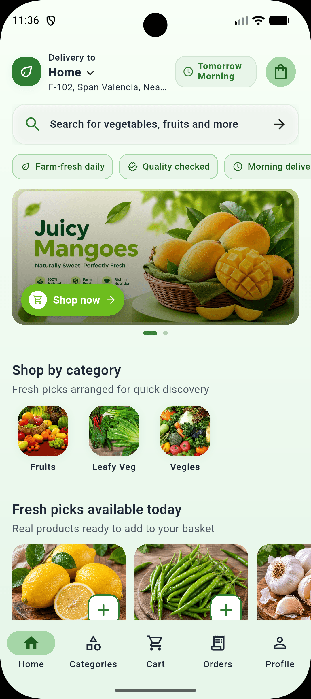 DailyVeg mobile app home screen with morning delivery cutoff and fresh picks
